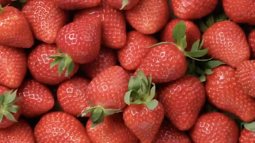 strawberries for parakeet