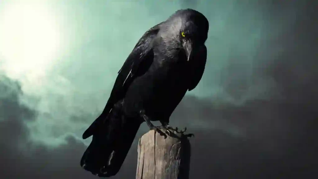 crow mythological beliefs